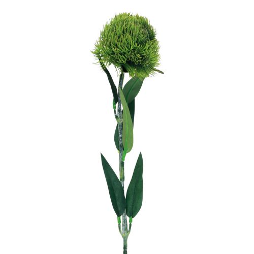 Floristik24 Grön skäggig nejlika konstgjord blomma som från trädgården 54cm