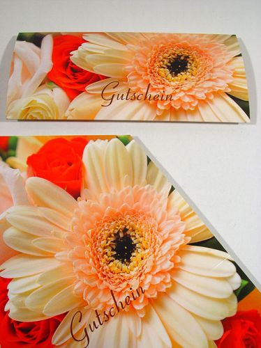 Floristik24 Kupongmotiv gerbera &amp; rosor (25 st)