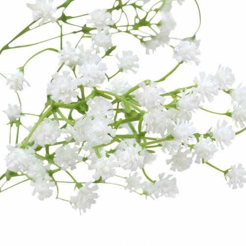 Floristik24 Baby's Breath Gypsophila Vit 66cm
