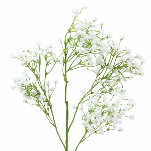 Floristik24 Baby's Breath Gypsophila Vit 66cm