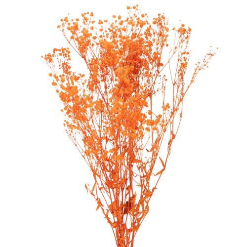 Torkad blombukett med babys andetag Gypsophila 75 cm 100 g