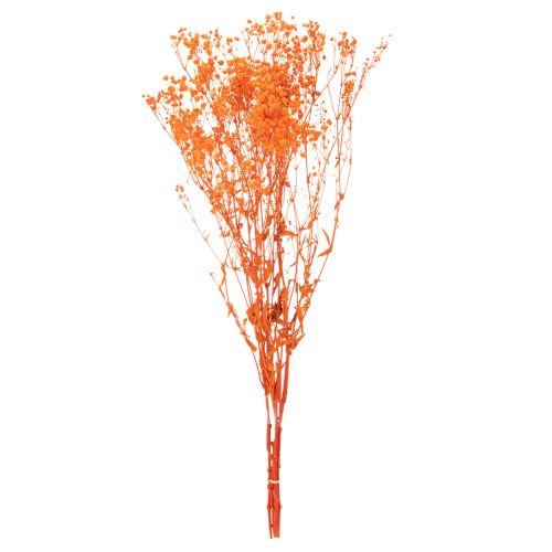 Torkad blombukett med babys andetag Gypsophila 75 cm 100 g | Floristik24.se