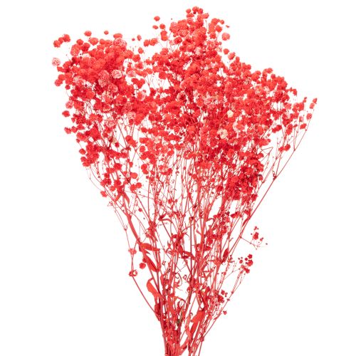 Torkad baby's breath (Gypsophila) knippe 75 cm 100 g