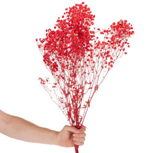 Torkad baby's breath (Gypsophila) knippe 75 cm 100 g | Floristik24.se