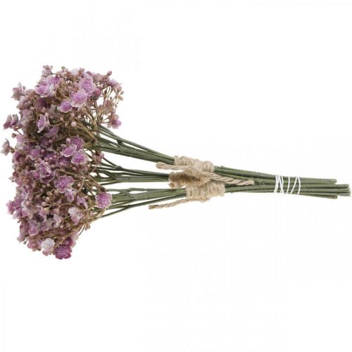 Floristik24 Gypsophila konstviolett höstdekoration 29,5cm 18st