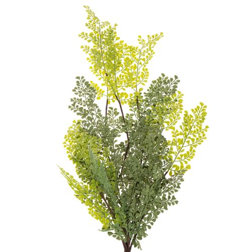 Konstgjord ormbunksgrann, delikat, för vas, 80 cm | Floristik24.se