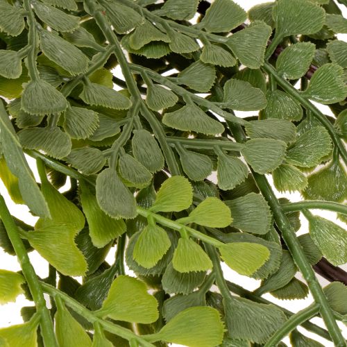Konstgjord ormbunksgrann, delikat, för vas, 80 cm | Floristik24.se