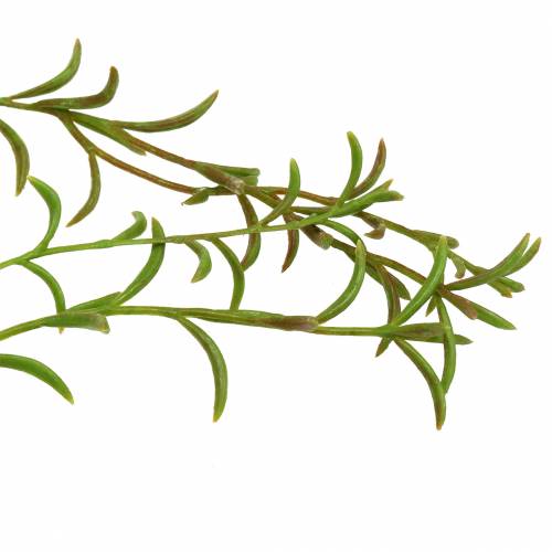 Floristik24 Korallkaktus konstgjord Rhipsalis hängare 90cm