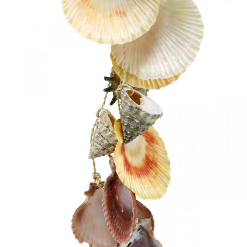 Floristik24 Kokosskål med skal, naturlig växtskål, kokos som hängkorg Ø13,5/11,5 cm, set om 2