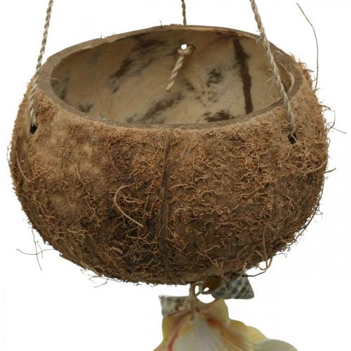 Floristik24 Kokosskål med skal, naturlig växtskål, kokos som hängkorg Ø13,5/11,5 cm, set om 2