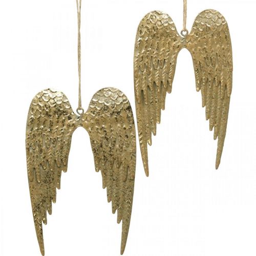 Floristik24 Angel Wing Deco Pendel Christmas Golden 14,5×9cm 4st