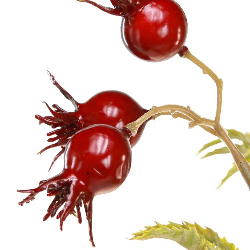 Floristik24 Nypon konstgjorda dekorativa grenar med 7 frukter mörkröda 48cm