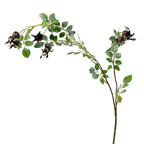 Floristik24 Nypon gren L92cm med snö