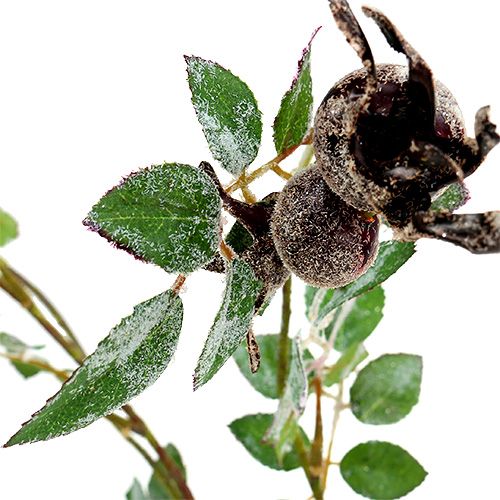 Floristik24 Nypon gren L92cm med snö