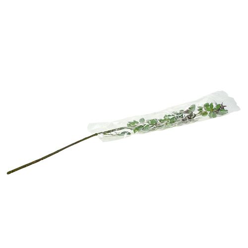 Floristik24 Nypon gren L92cm med snö