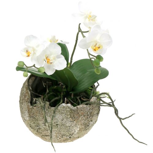 Floristik24 Betongboll för plantering av Ø17cm H17.5cm