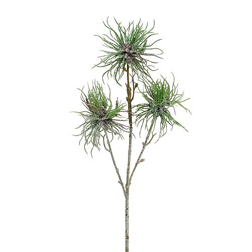 Floristik24 Trollhasselgren 44cm grön, silver 1 st