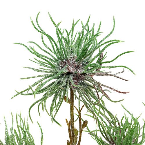 Floristik24 Trollhasselgren 44cm grön, silver 1 st