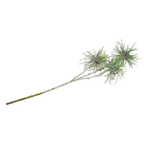Floristik24 Trollhasselgren 44cm grön, silver 1 st