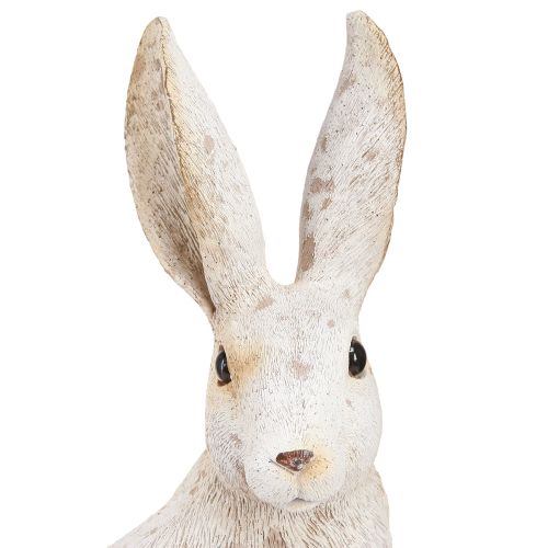 Floristik24 Kanin Sittande Påskhare Påskdekoration Shabby Chic 16×13×35cm