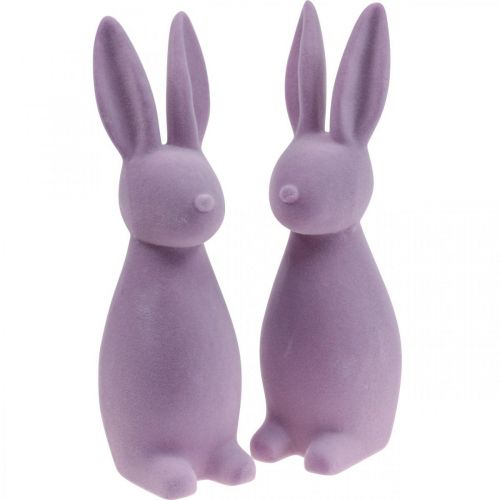 Floristik24 Dekorativ påskhare – 2:a val – Flockad lila H29,5cm 2 st