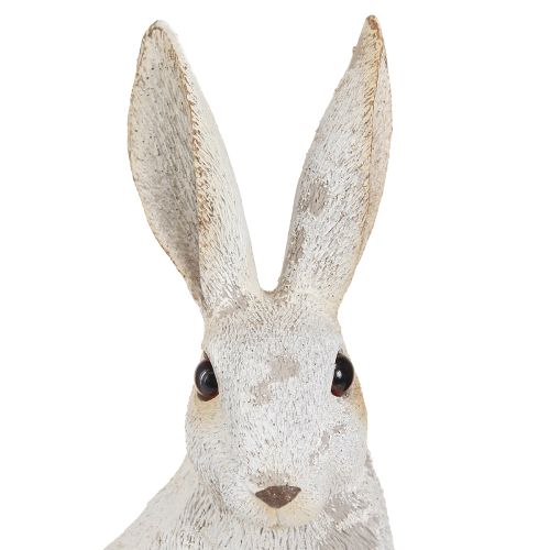 Floristik24 Dekorativ kanin sittande figur påskhare Shabby Chic 12×9×25cm