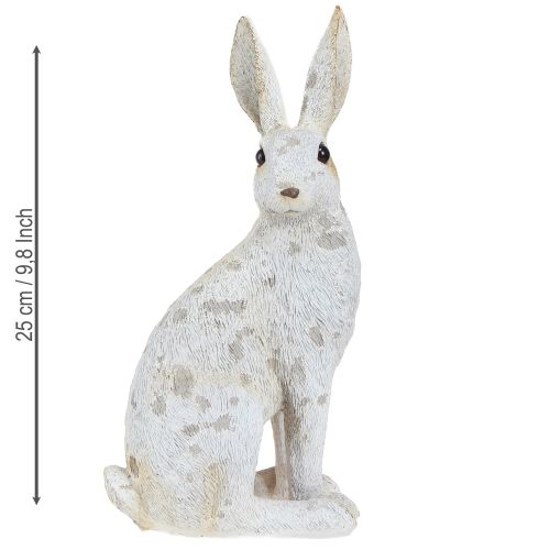 Floristik24 Dekorativ kanin sittande figur påskhare Shabby Chic 12×9×25cm