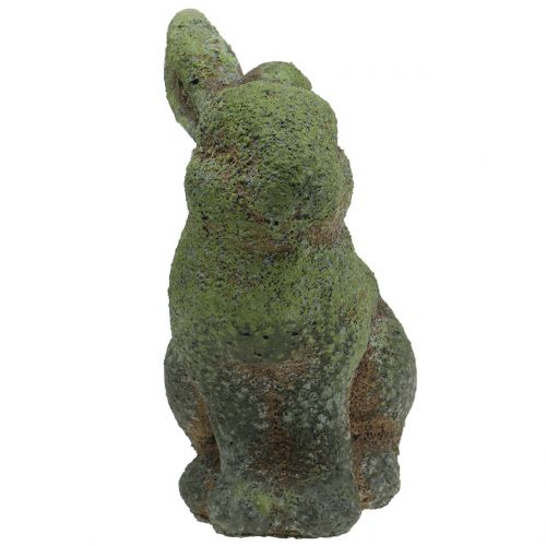 Floristik24 Trädgårdsfigur kanin mossig 20 cm x 13 cm H25cm