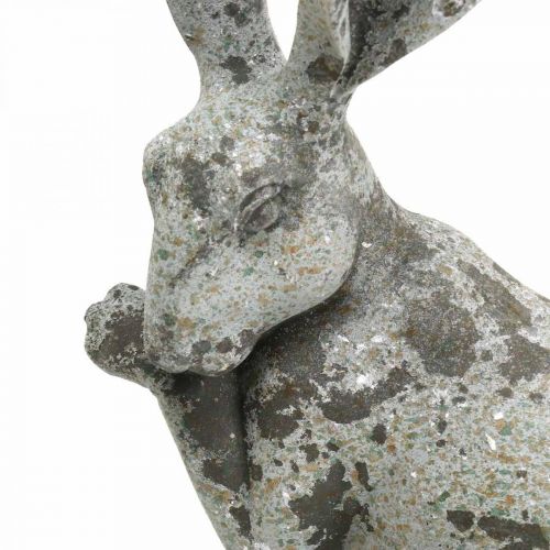Floristik24 Dekorativ kanin sittande sten utseende trädgård dekoration H31cm