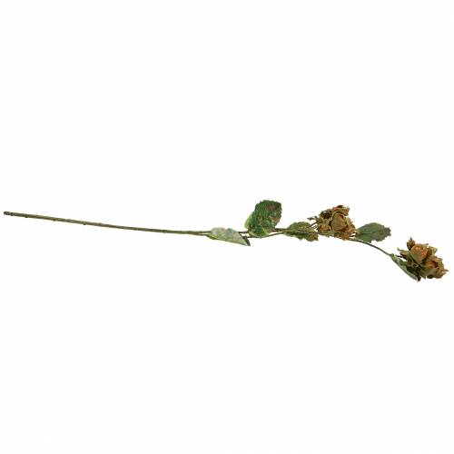 Floristik24 Hasselnötsgren grön / brun 84cm