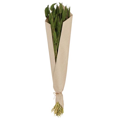 Artikel Hare&#39;s Tail Grass Lagurus Torkad Grön 50-60cm 50g