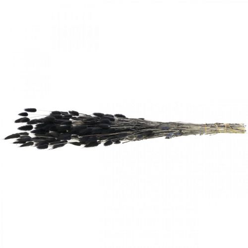 Artikel Hare&#39;s Tail Grass Lagurus Torkad Svart 60cm 50g