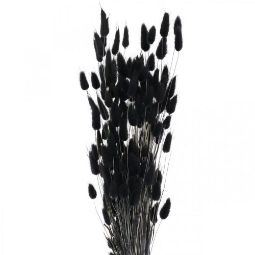 Artikel Hare&#39;s Tail Grass Lagurus Torkad Svart 60cm 50g