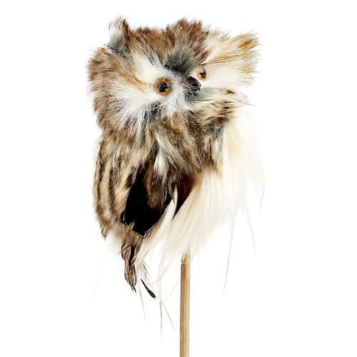 Floristik24 Höstpluggugga 13cm L50cm