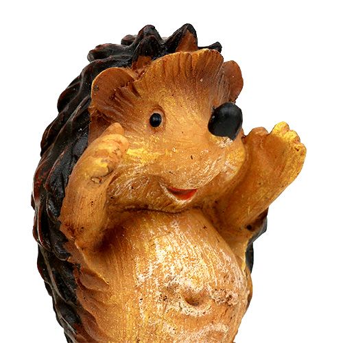 Floristik24 Höstdekoration igelkottmix 6cm brun 6st