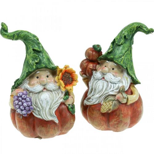 Floristik24 Hösttomte pumpa dekoration tomtefigur assorterad H11,5cm 2st