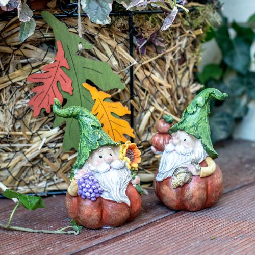 Floristik24 Hösttomte pumpa dekoration tomtefigur assorterad H11,5cm 2st