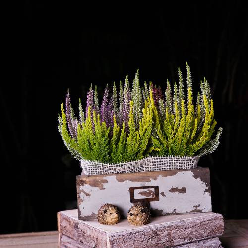 Floristik24 Trähylla antikgrå 27cm x 13cm