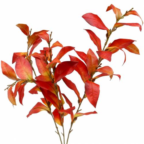Floristik24 Höstgren 72cm