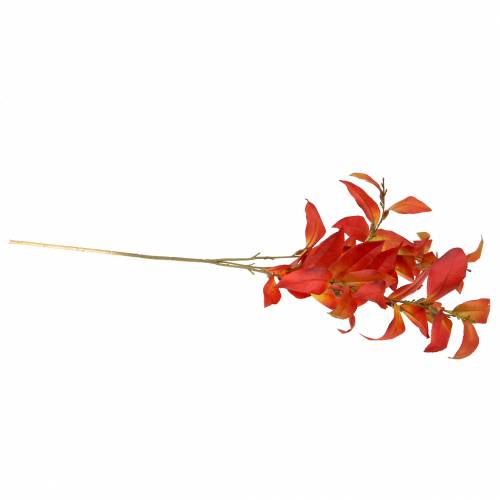 Floristik24 Höstgren 72cm