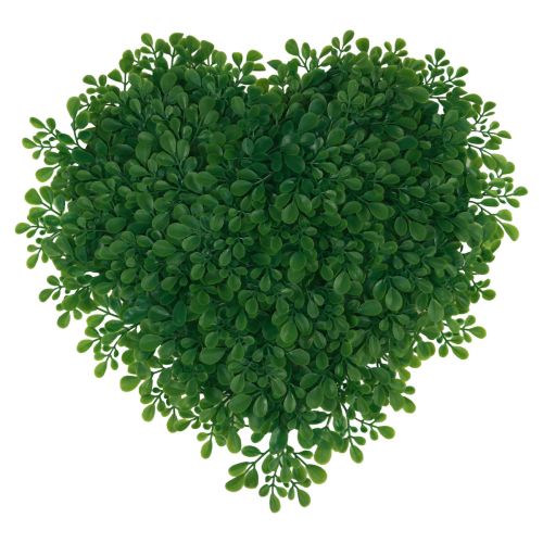Floristik24 Dekorativ hjärta buxbom konstgjord dekorativ matta grön 30,5cm