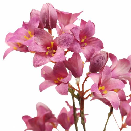 Floristik24 Lila Bells Heuchera Deco Branch Rosa 44cm