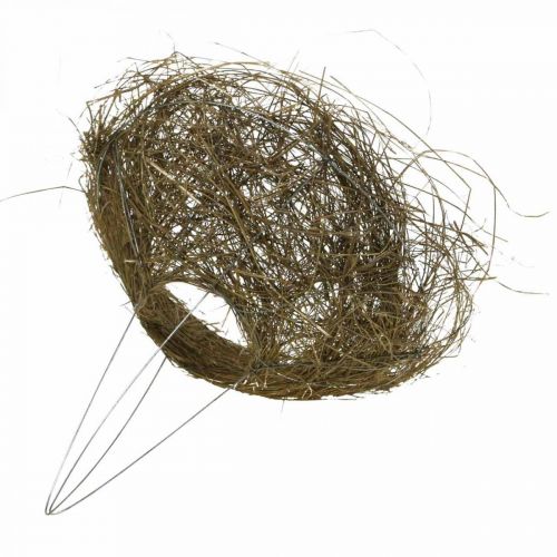 Floristik24 Manschett bukett hö natur bukett manschett Ø25cm 6st