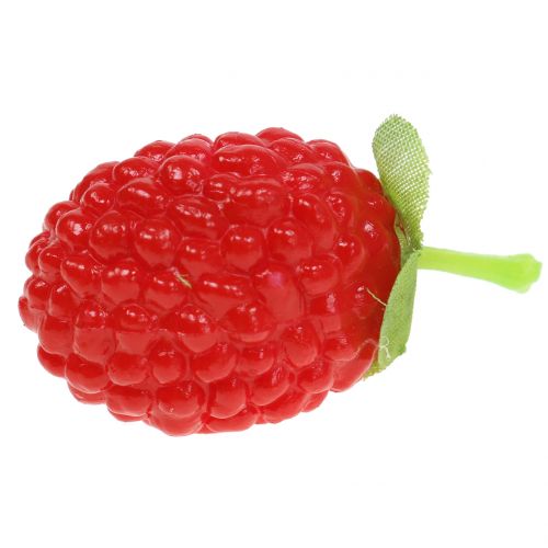 Floristik24 Hallon 4cm x 2cm 36p
