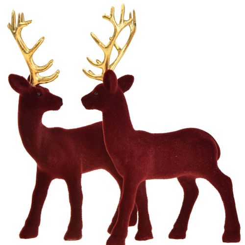 Floristik24 Deer Deco Reindeer Bordeaux Guldkalvflockad 20 cm Set om 2