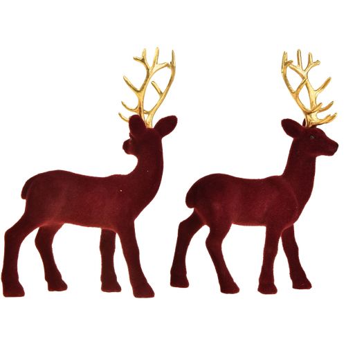 Floristik24 Deer Deco Reindeer Bordeaux Guldkalvflockad 20 cm Set om 2