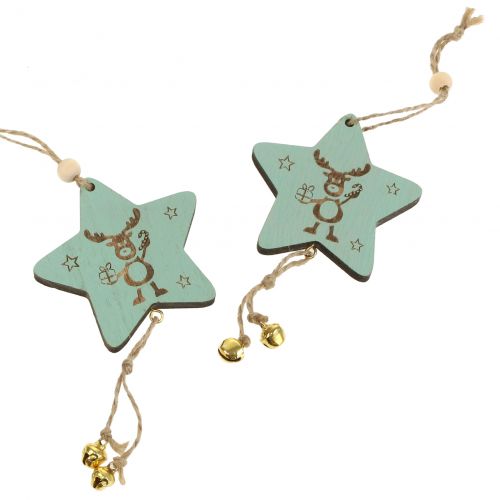 Floristik24 Hanger star mint 7cm L20cm 12st