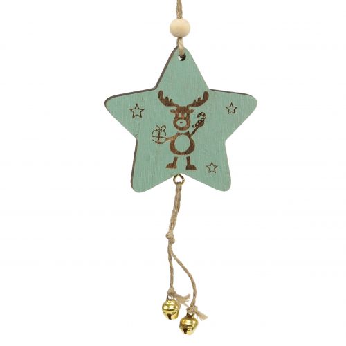 Floristik24 Hängare Star Mint 7cm L20cm 12 st