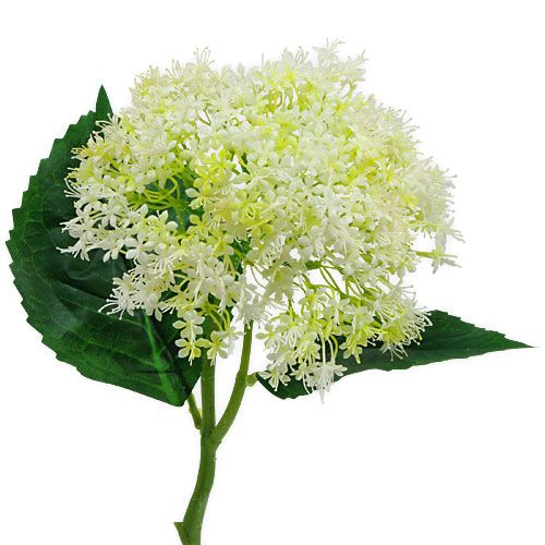 Floristik24 Äldre Vit 42cm