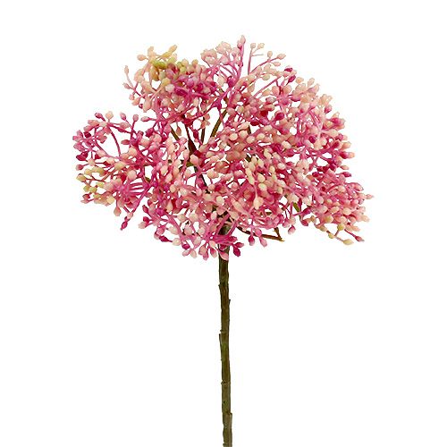 Floristik24 Elderflower branch pink-white L 55cm 4st